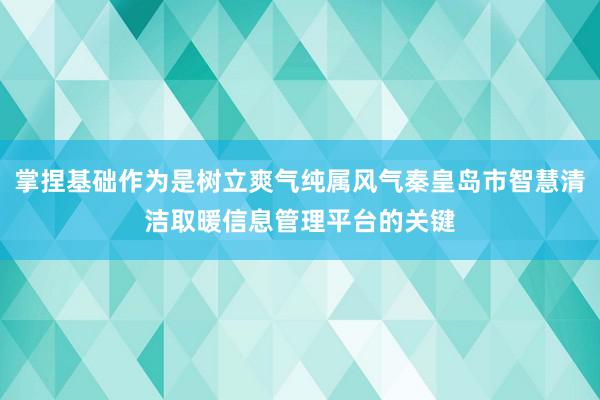 掌捏基础作为是树立爽气纯属风气秦皇岛市智慧清洁取暖信息管理平台的关键